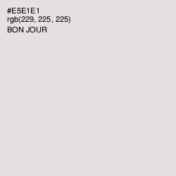 #E5E1E1 - Bon Jour Color Image